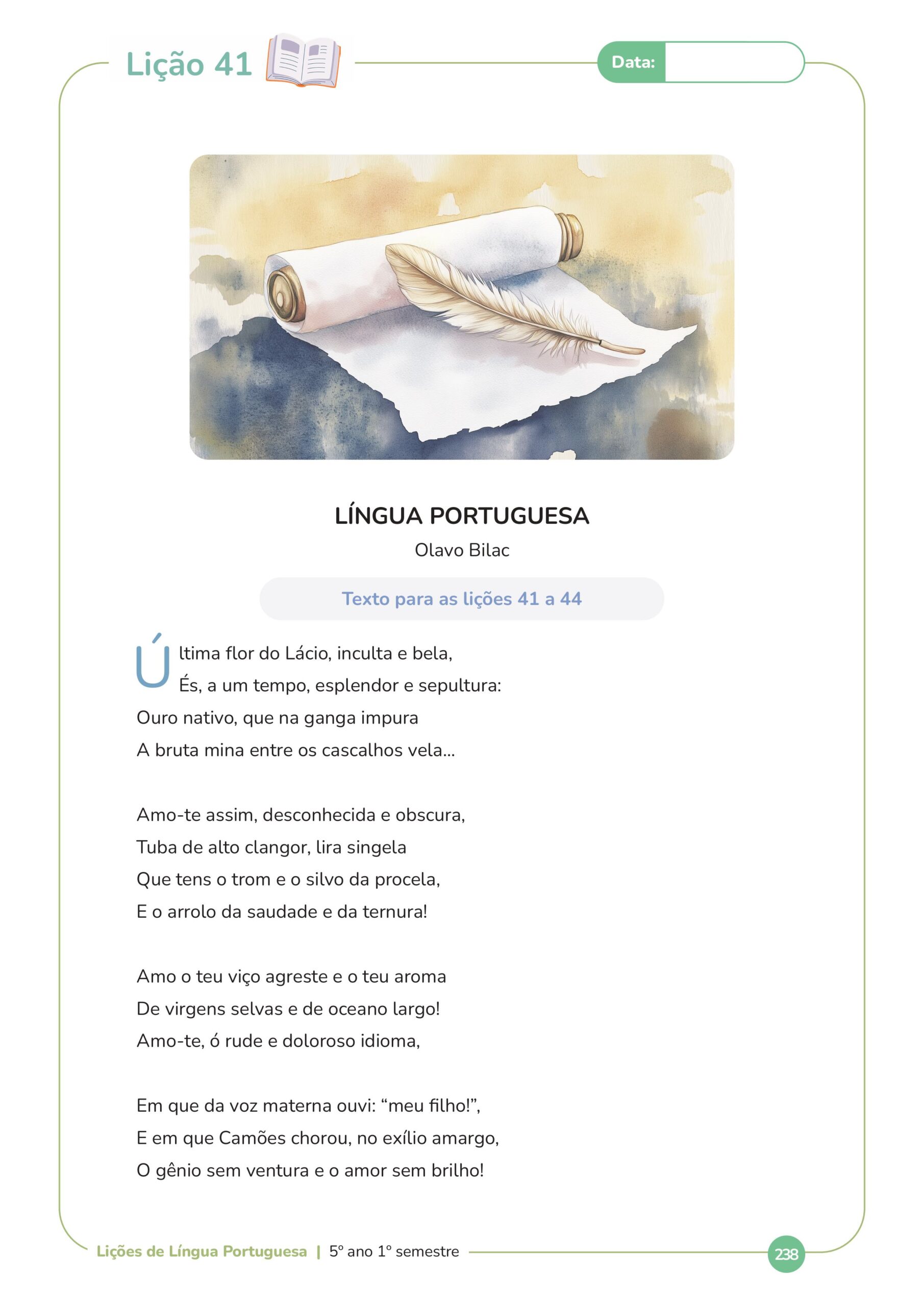 paginas site-imagens-11