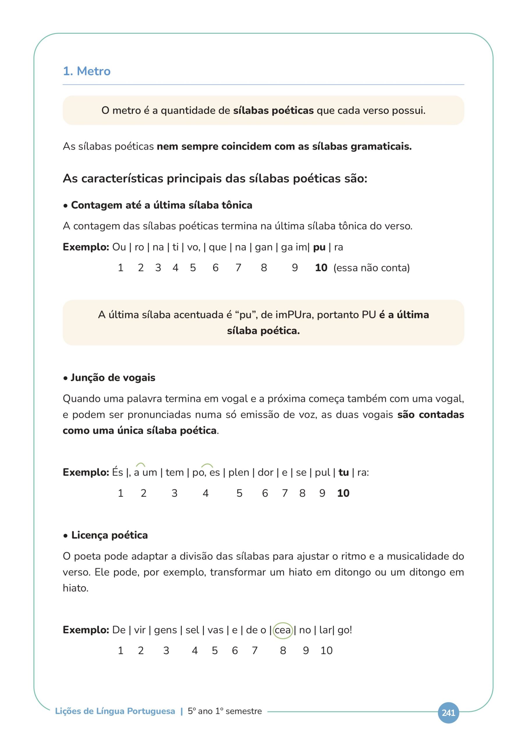 paginas site-imagens-12