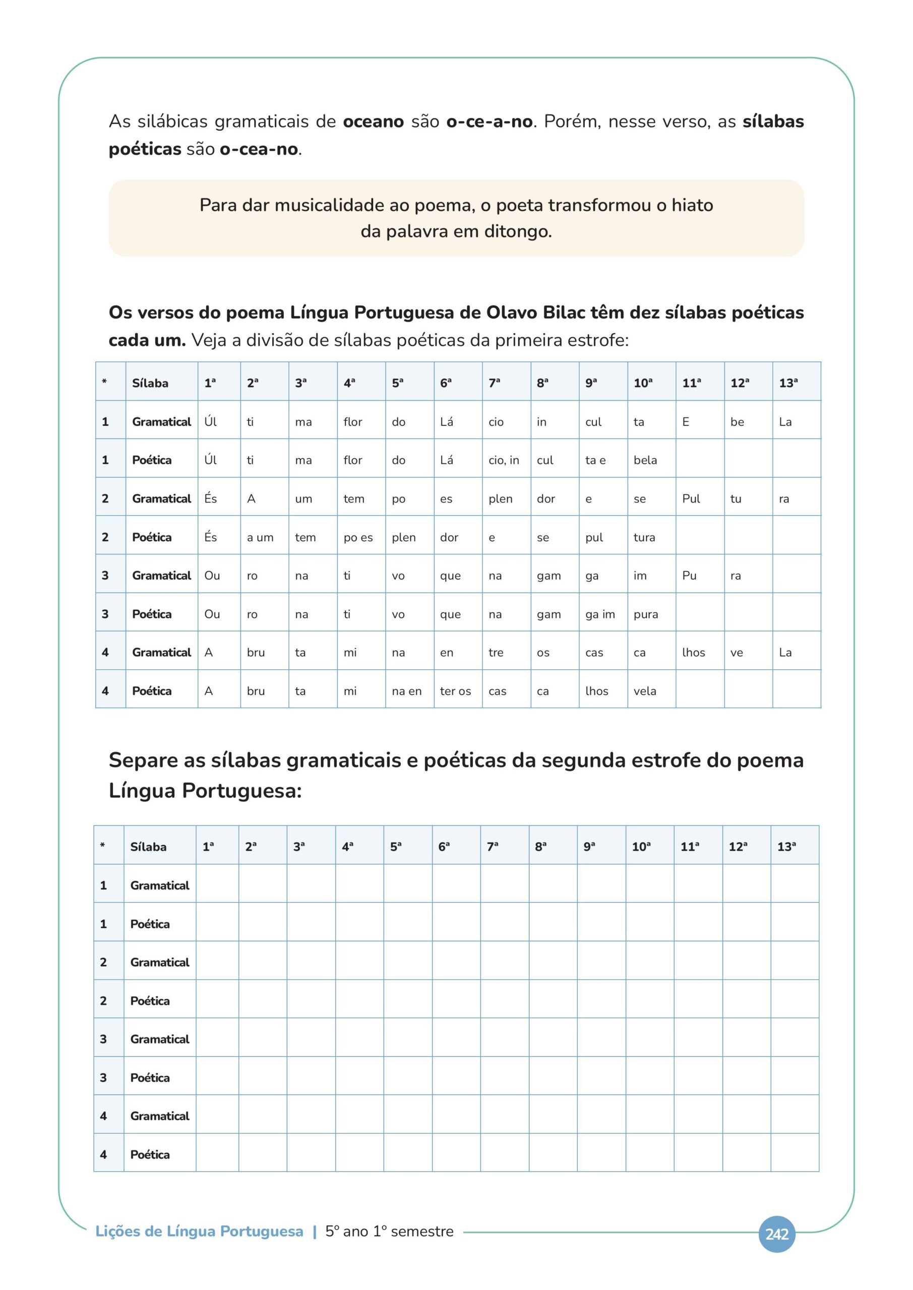 paginas site-imagens-13